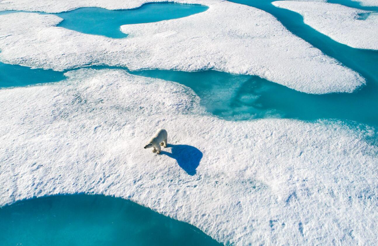《北极：冰冻星球》揭幕第十三届北影节科技单元
